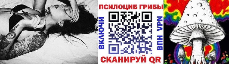 Псилоцибиновые грибы прущие грибы  Сортавала 