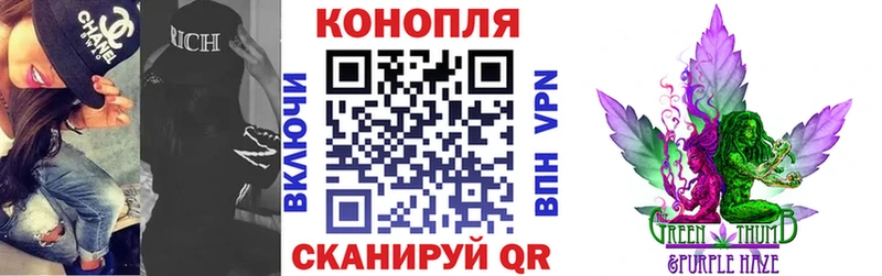 Бошки Шишки Amnesia  ссылка на мегу tor  Сортавала 